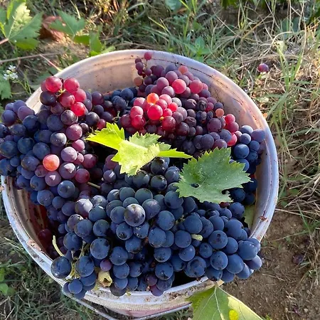 Casafaro * Petritoli