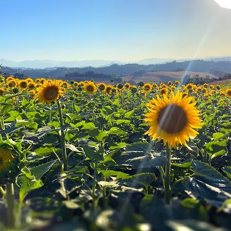 Appartement Casafaro